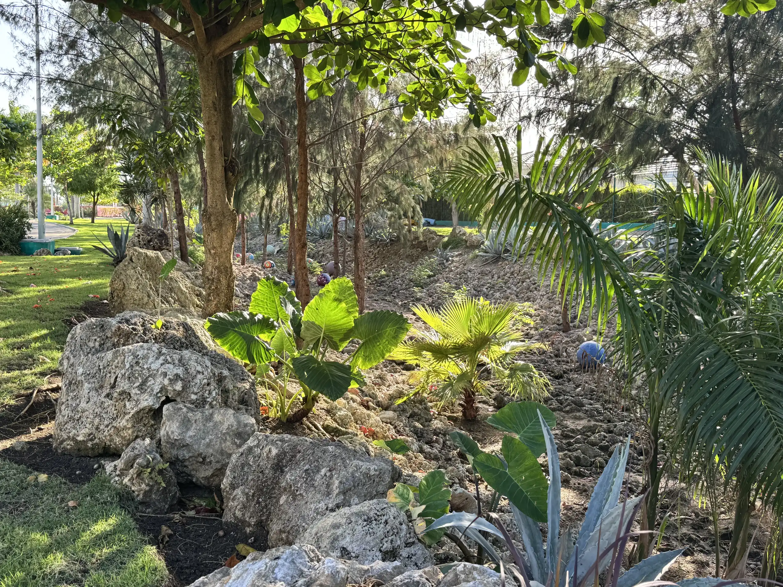 Area verde